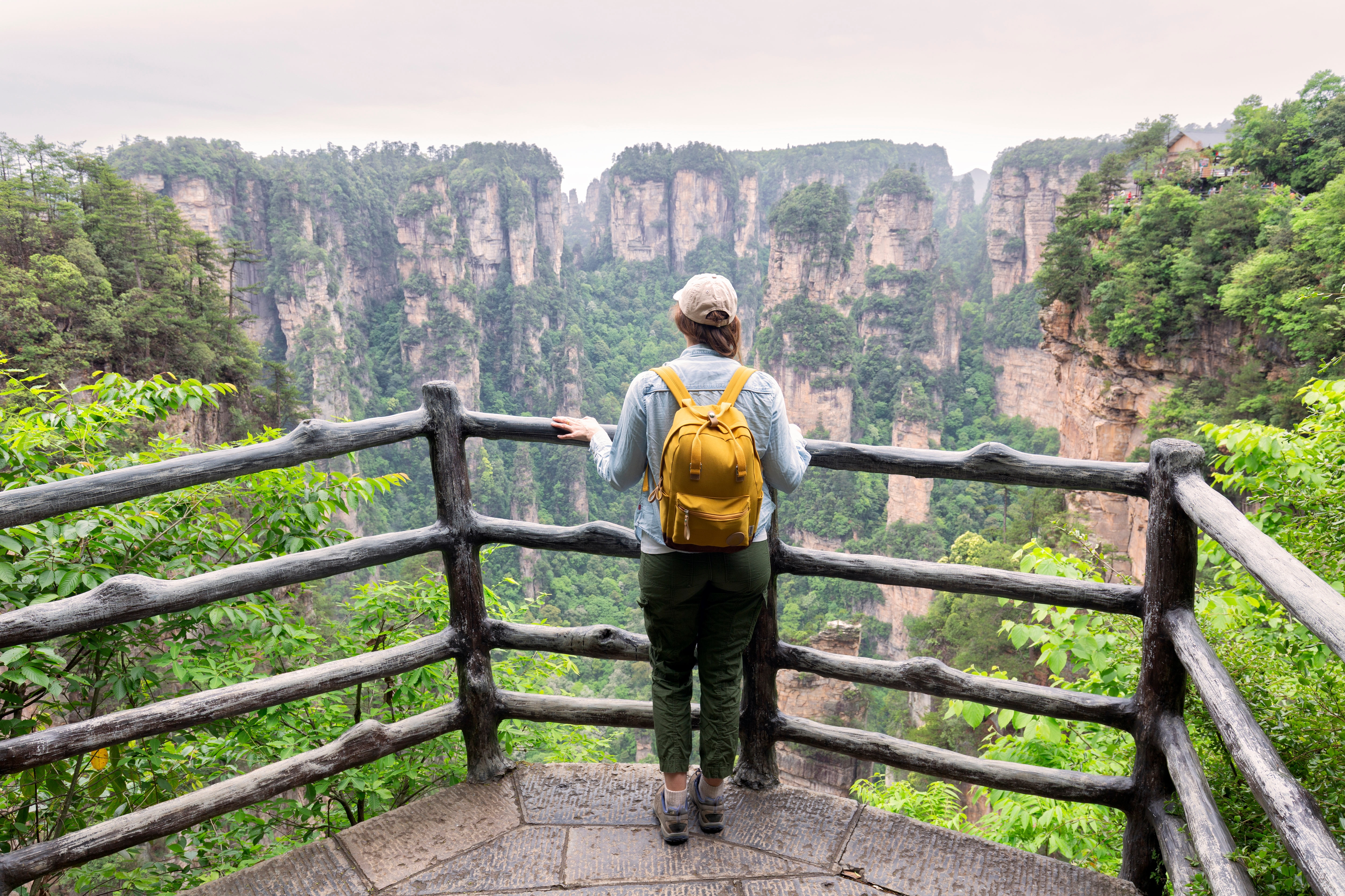Avatar Mountains Century Cruises